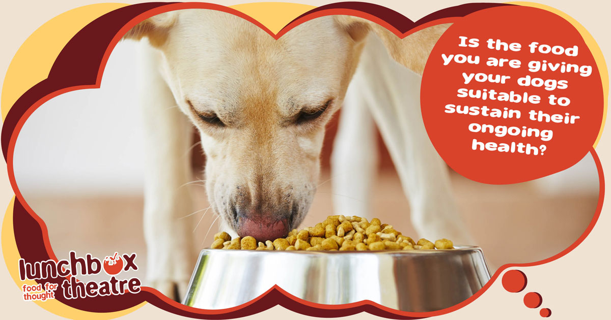 Ways to Improve your dogs nutrition