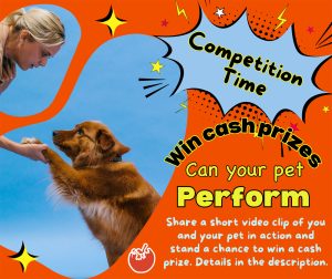 Lunchbox Theatre - Can your pet perform Image for a video competition. Can your pet perform? For Lunchbox Theatre