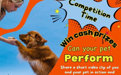 Can Your Pet Perform? A Lunchbox Competition